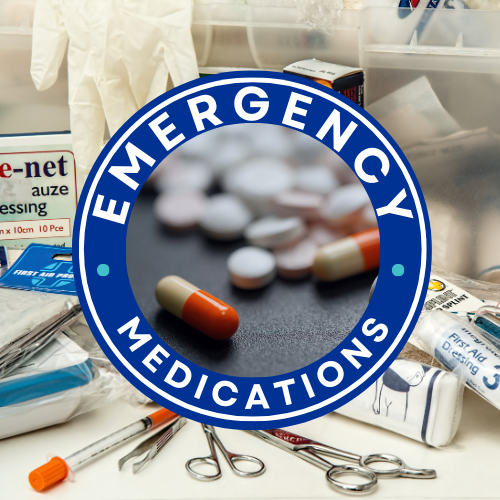 Protected: Silver Solo B: Emergency Medication